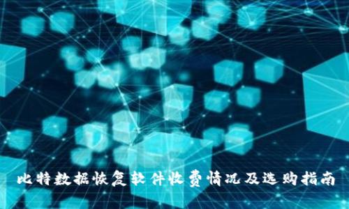比特数据恢复软件收费情况及选购指南