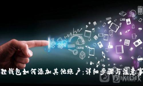狐狸钱包如何添加其他账户：详细步骤与注意事项