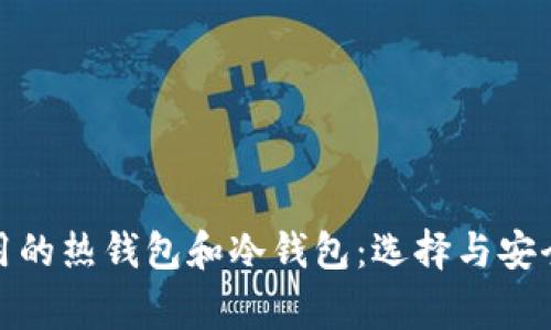 散户常用的热钱包和冷钱包：选择与安全性解析