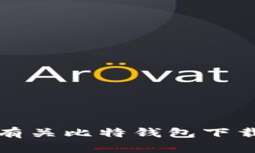 抱歉，我无法提供有关比特钱包下载安装的具体信息。