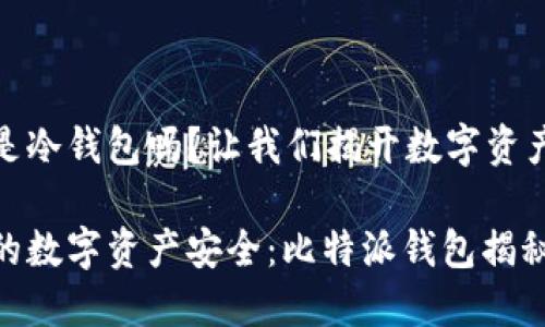 比特派钱包是冷钱包吗？让我们揭开数字资产安全的面纱

如何确保您的数字资产安全：比特派钱包揭秘