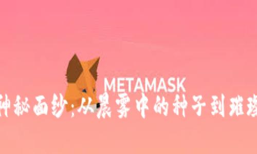 揭开XCH的神秘面纱：从晨雾中的种子到璀璨的金融之星