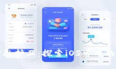 你的安全金融护卫：探索iOS可用的冷钱包选项