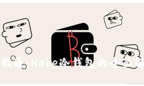从入门到精通：Hebe冷钱包的全面解析与应用