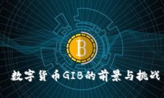  数字货币GIB的前景与挑战