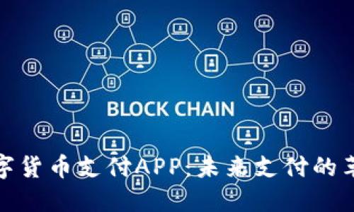 探索数字货币支付APP：未来支付的革命之路