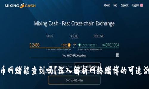 波币网赌能查到吗？深入解析网络赌博的可追溯性