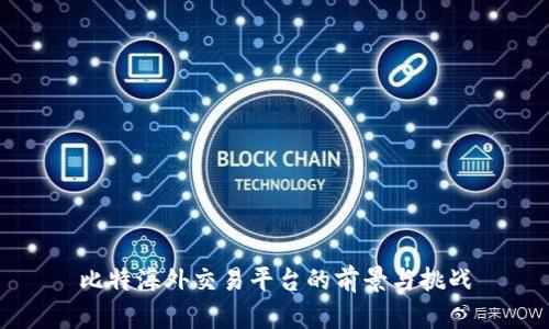 比特海外交易平台的前景与挑战