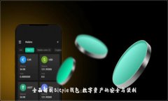 全面解析Bitpie钱包：数字资产的安全与便利