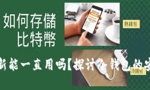 冷钱包不更新能一直用吗？探讨冷钱包的安全性与维护