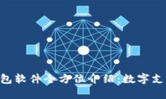 Gopay钱包软件全方位介绍：数字支付新选择
