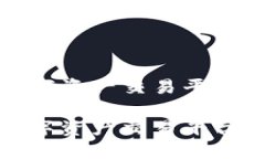 探索中国数字资产交易平台的未来发展探索中国