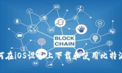 : 如何在iOS设备上下载和使用比特派钱包