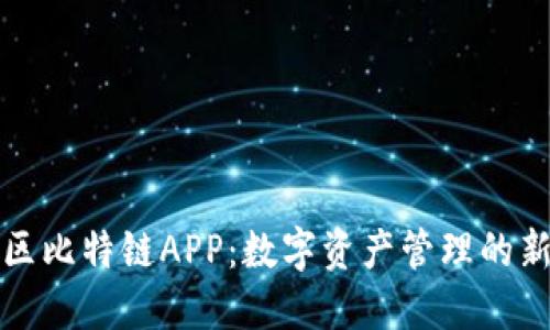 中国区比特链APP：数字资产管理的新趋势