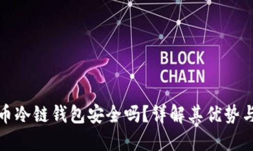 比特币冷链钱包安全吗？详解其优势与风险