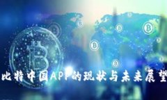比特中国APP的现状与未来展望