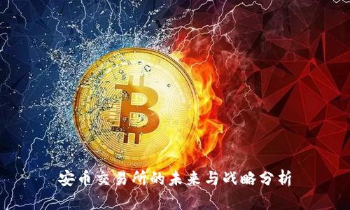 安币交易所的未来与战略分析