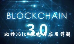 比特（Bit）概念与应用详解