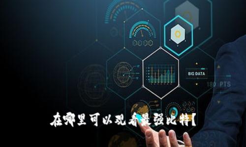 在哪里可以观看最强比特？