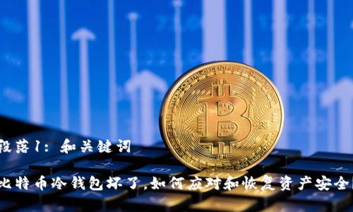 段落1: 和关键词

比特币冷钱包坏了，如何应对和恢复资产安全？