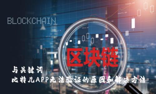 与关键词
比特儿APP无法验证的原因和解决方法
