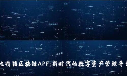 比特猪区块链APP：新时代的数字资产管理平台