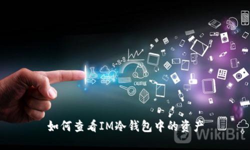 如何查看IM冷钱包中的资产
