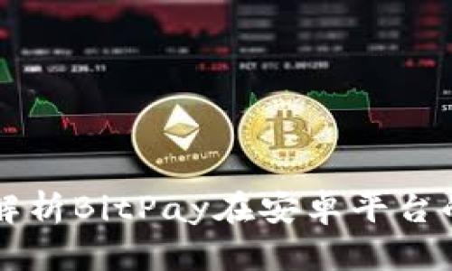 全面解析BitPay在安卓平台的应用