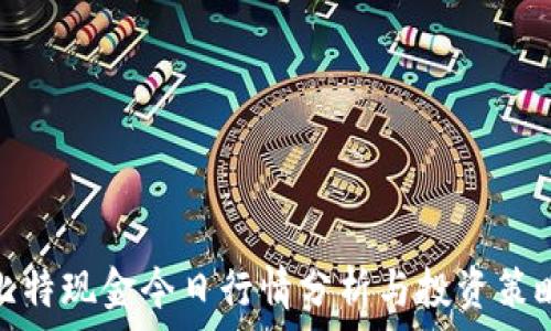   
比特现金今日行情分析与投资策略
