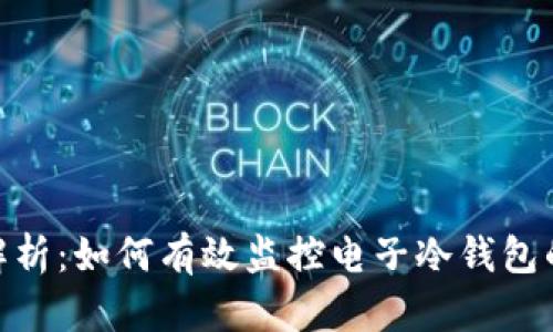 : 全面解析：如何有效监控电子冷钱包的安全性