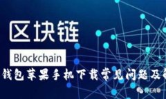  比特派钱包苹果手机下载常见问题及解决方法