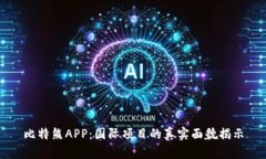 比特熊APP：国际项目的真实面貌揭示