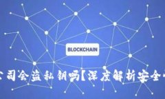 冷钱包开发公司会盗私钥吗？深度解析安全性与