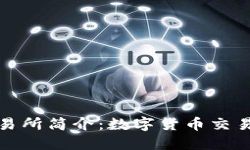 比特交易所简介：数字货币交易的先锋