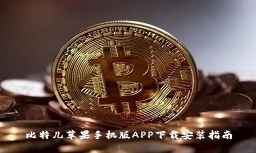 比特儿苹果手机版APP下载安装指南