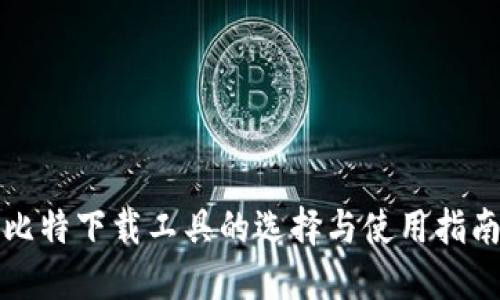 比特下载工具的选择与使用指南
