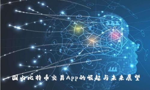 国内比特币交易App的崛起与未来展望