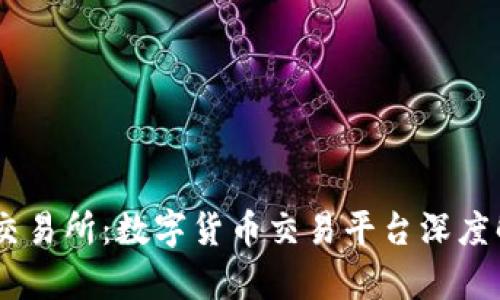 BG交易所：数字货币交易平台深度解析