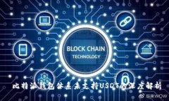  比特派钱包体系未支持USDT的深度解析