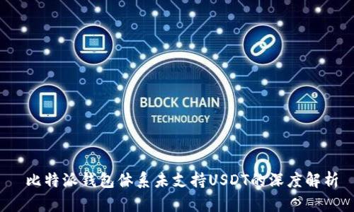  比特派钱包体系未支持USDT的深度解析