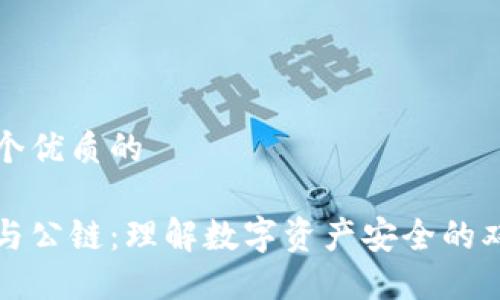 思考一个优质的

冷钱包与公链：理解数字资产安全的双重保障